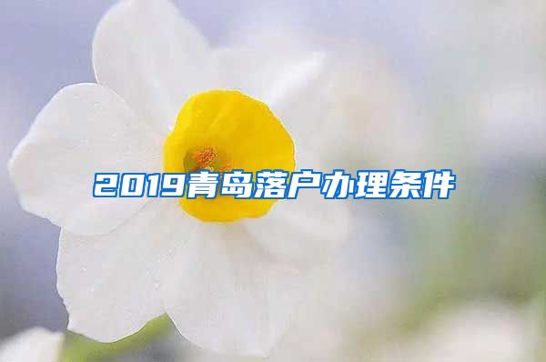 2019青島落戶辦理?xiàng)l件