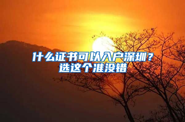 什么證書可以入戶深圳？選這個準(zhǔn)沒錯