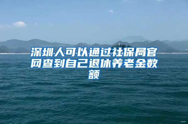 深圳人可以通過(guò)社保局官網(wǎng)查到自己退休養(yǎng)老金數(shù)額