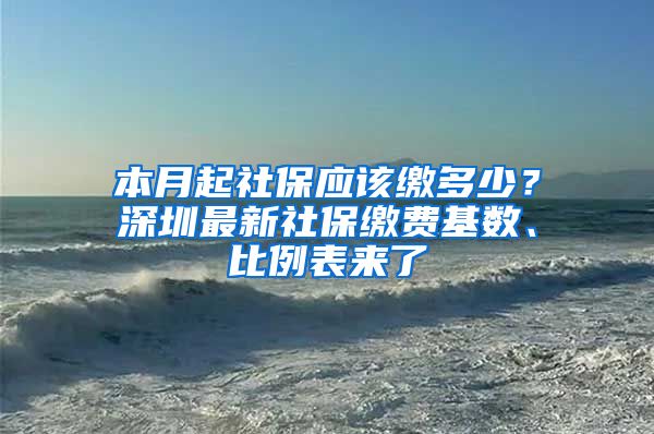 本月起社保應(yīng)該繳多少？深圳最新社保繳費基數(shù)、比例表來了