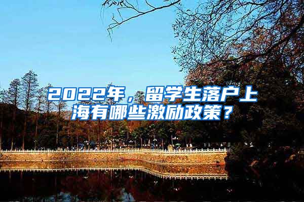 2022年，留學(xué)生落戶(hù)上海有哪些激勵(lì)政策？