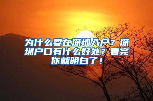 為什么要在深圳入戶？深圳戶口有什么好處？看完你就明白了！