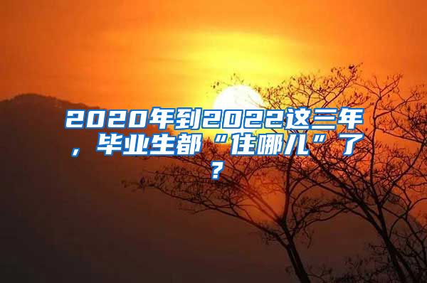 2020年到2022這三年，畢業(yè)生都“住哪兒”了？