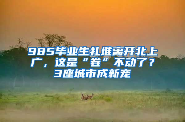 985畢業(yè)生扎堆離開北上廣，這是“卷”不動了？3座城市成新寵