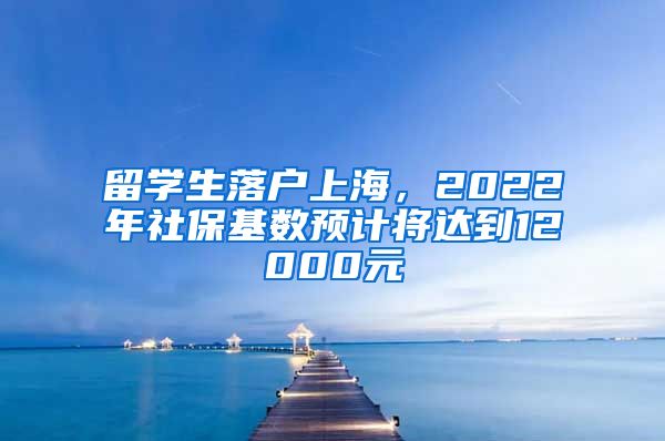 留學(xué)生落戶上海，2022年社?；鶖?shù)預(yù)計(jì)將達(dá)到12000元