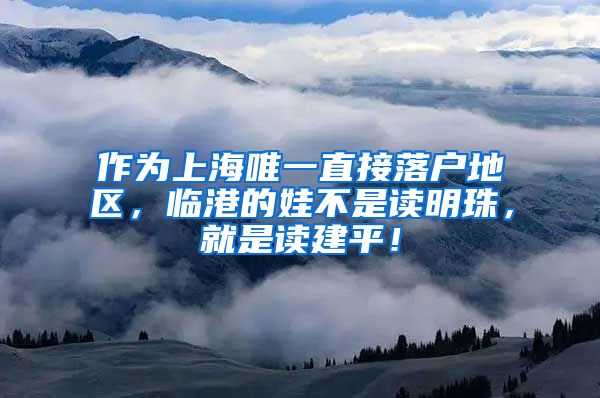 作為上海唯一直接落戶地區(qū)，臨港的娃不是讀明珠，就是讀建平！