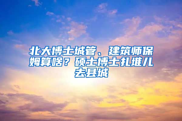 北大博士城管、建筑師保姆算啥？碩士博士扎堆兒去縣城