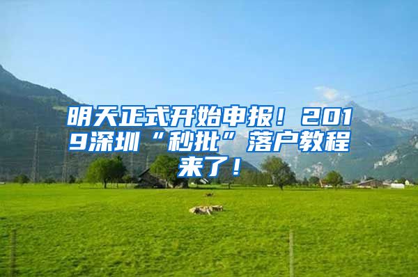 明天正式開始申報！2019深圳“秒批”落戶教程來了！