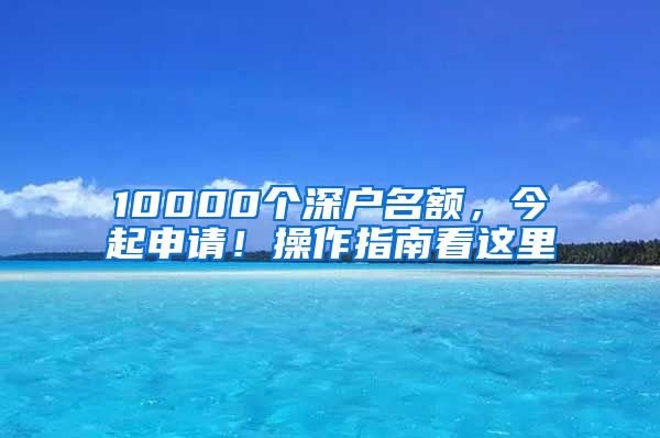 10000個深戶名額，今起申請！操作指南看這里