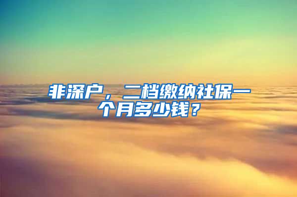 非深戶，二檔繳納社保一個月多少錢？