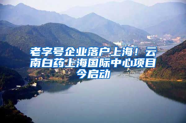 老字號企業(yè)落戶上海！云南白藥上海國際中心項目今啟動