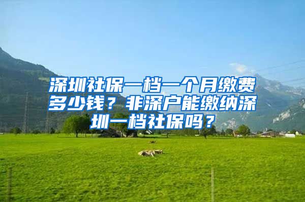 深圳社保一檔一個(gè)月繳費(fèi)多少錢？非深戶能繳納深圳一檔社保嗎？