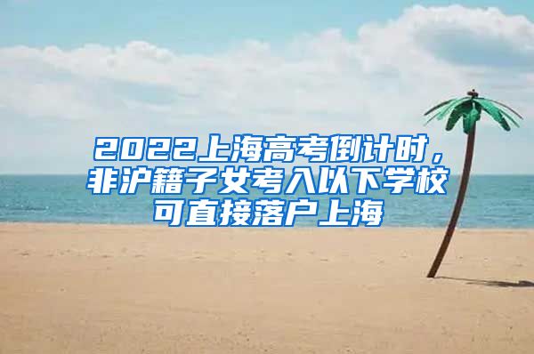 2022上海高考倒計(jì)時(shí)，非滬籍子女考入以下學(xué)?？芍苯勇鋺羯虾?/></p>
			 <p style=