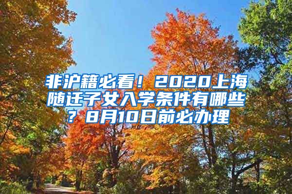 非滬籍必看！2020上海隨遷子女入學(xué)條件有哪些？8月10日前必辦理