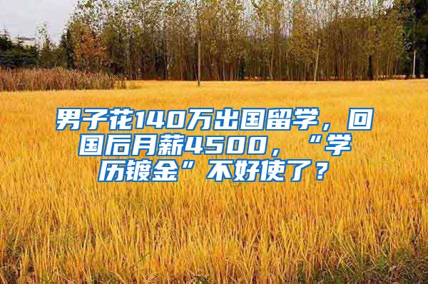 男子花140萬出國留學，回國后月薪4500，“學歷鍍金”不好使了？