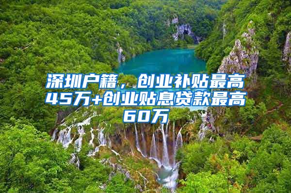 深圳戶籍，創(chuàng)業(yè)補(bǔ)貼最高45萬(wàn)+創(chuàng)業(yè)貼息貸款最高60萬(wàn)