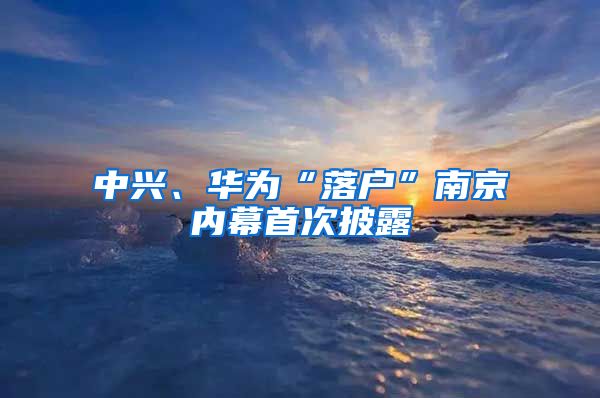 中興、華為“落戶”南京內(nèi)幕首次披露