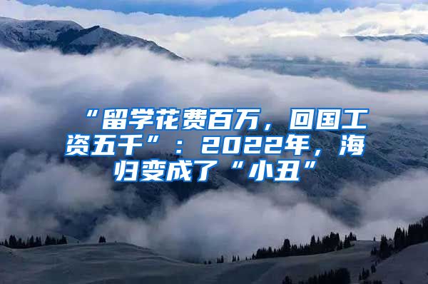 “留學(xué)花費(fèi)百萬(wàn)，回國(guó)工資五千”：2022年，海歸變成了“小丑”