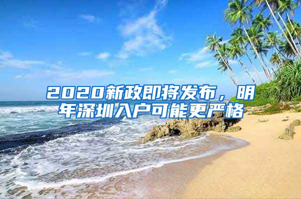 2020新政即將發(fā)布，明年深圳入戶可能更嚴格