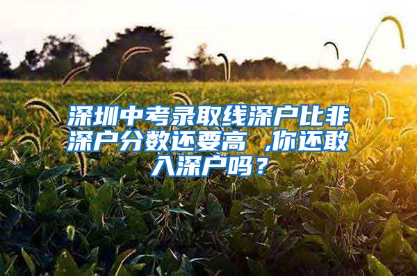 深圳中考錄取線深戶比非深戶分數(shù)還要高 ,你還敢入深戶嗎？