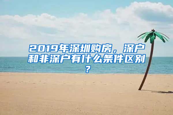 2019年深圳購房，深戶和非深戶有什么條件區(qū)別？