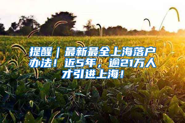 提醒｜最新最全上海落戶辦法！近5年，逾21萬人才引進(jìn)上海！