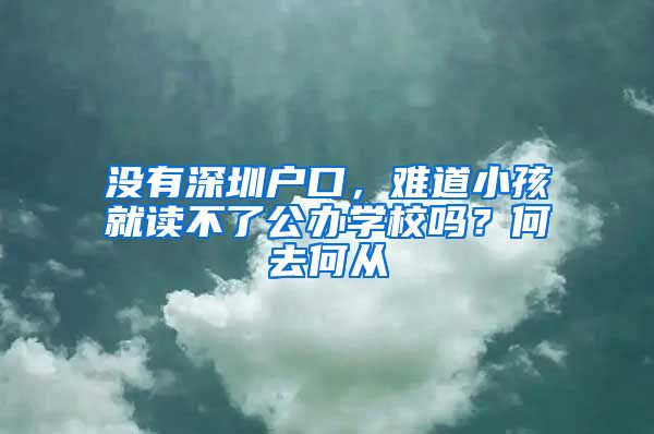 沒有深圳戶口，難道小孩就讀不了公辦學(xué)校嗎？何去何從