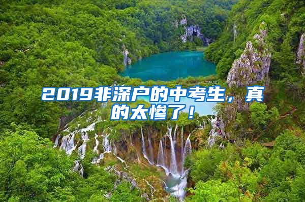 2019非深戶的中考生，真的太慘了！