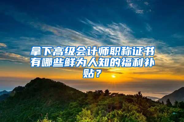 拿下高級會計師職稱證書有哪些鮮為人知的福利補貼？