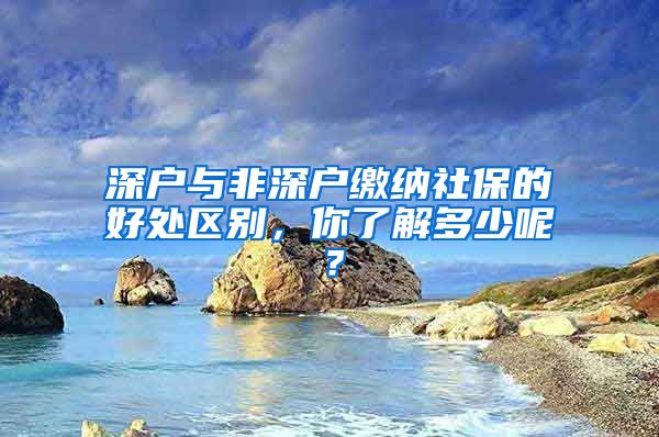 深戶與非深戶繳納社保的好處區(qū)別，你了解多少呢？