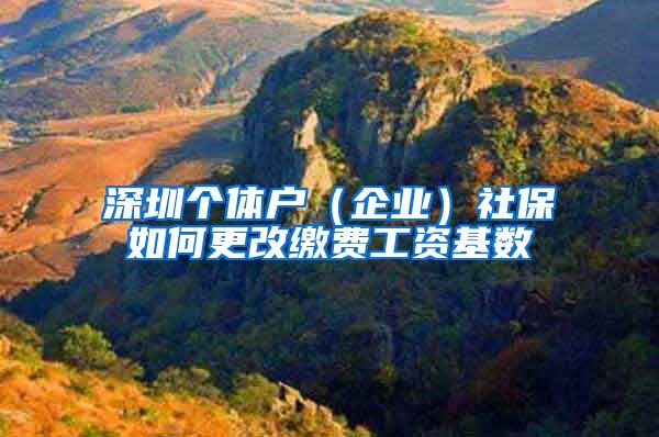 深圳個(gè)體戶(hù)（企業(yè)）社保如何更改繳費(fèi)工資基數(shù)