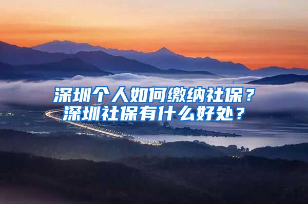 深圳個(gè)人如何繳納社保？深圳社保有什么好處？