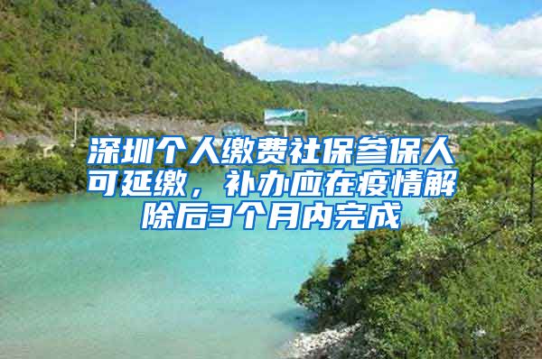 深圳個(gè)人繳費(fèi)社保參保人可延繳，補(bǔ)辦應(yīng)在疫情解除后3個(gè)月內(nèi)完成