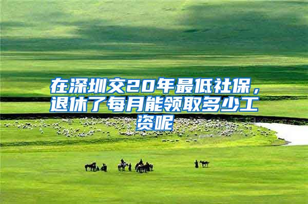 在深圳交20年最低社保，退休了每月能領(lǐng)取多少工資呢