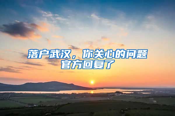 落戶武漢，你關心的問題官方回復了