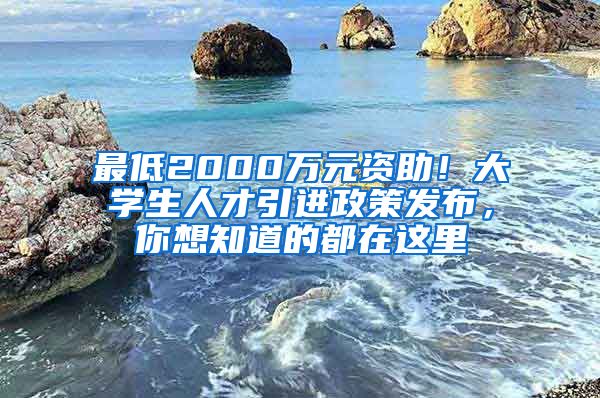 最低2000萬元資助！大學生人才引進政策發(fā)布，你想知道的都在這里