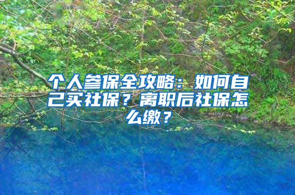 個(gè)人參保全攻略：如何自己買社保？離職后社保怎么繳？