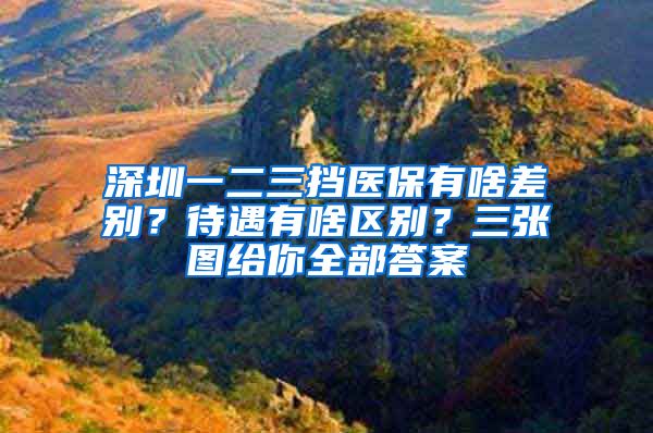 深圳一二三擋醫(yī)保有啥差別？待遇有啥區(qū)別？三張圖給你全部答案