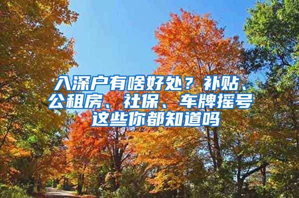 入深戶有啥好處？補(bǔ)貼、公租房、社保、車牌搖號(hào) 這些你都知道嗎