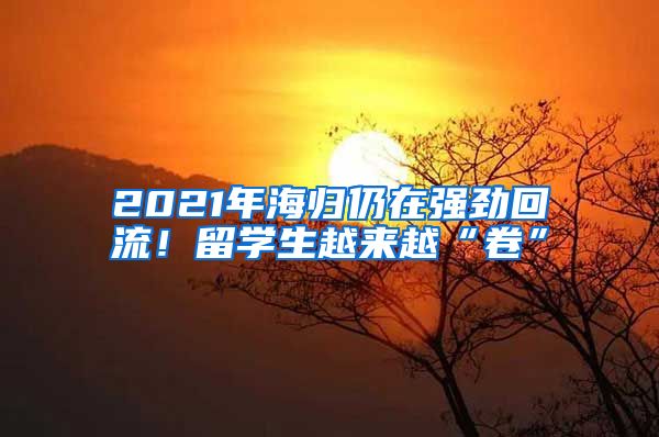 2021年海歸仍在強勁回流！留學生越來越“卷”