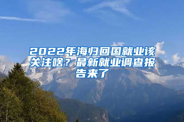 2022年海歸回國就業(yè)該關(guān)注啥？最新就業(yè)調(diào)查報告來了