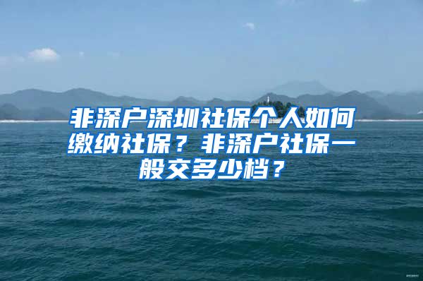 非深戶深圳社保個(gè)人如何繳納社保？非深戶社保一般交多少檔？