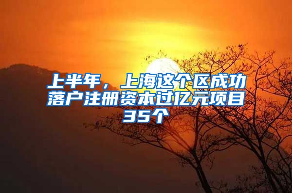 上半年，上海這個區(qū)成功落戶注冊資本過億元項目35個