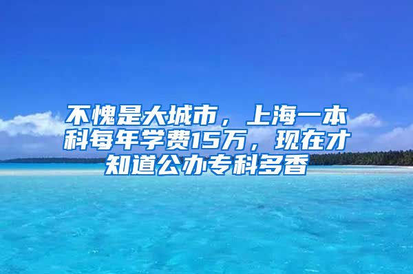 不愧是大城市，上海一本科每年學(xué)費(fèi)15萬，現(xiàn)在才知道公辦?？贫嘞?/></p>
			 <p style=