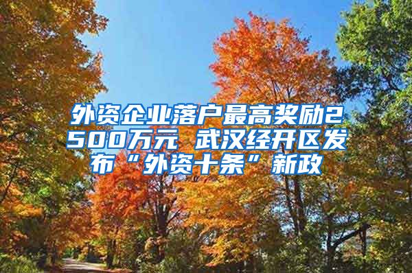 外資企業(yè)落戶最高獎(jiǎng)勵(lì)2500萬(wàn)元 武漢經(jīng)開區(qū)發(fā)布“外資十條”新政