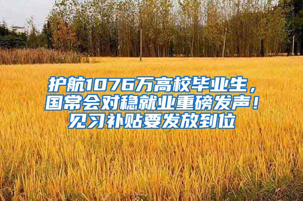 護航1076萬高校畢業(yè)生，國常會對穩(wěn)就業(yè)重磅發(fā)聲！見習(xí)補貼要發(fā)放到位