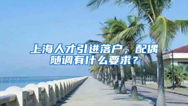 上海人才引進落戶，配偶隨調(diào)有什么要求？