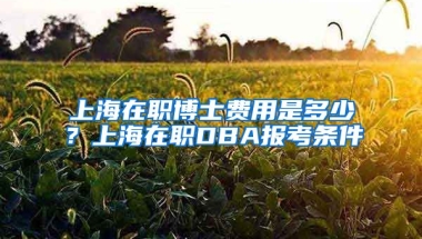 上海在職博士費(fèi)用是多少？上海在職DBA報(bào)考條件