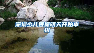 深圳少兒醫(yī)保明天開始申報