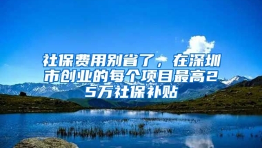 社保費(fèi)用別省了，在深圳市創(chuàng)業(yè)的每個(gè)項(xiàng)目最高25萬(wàn)社保補(bǔ)貼